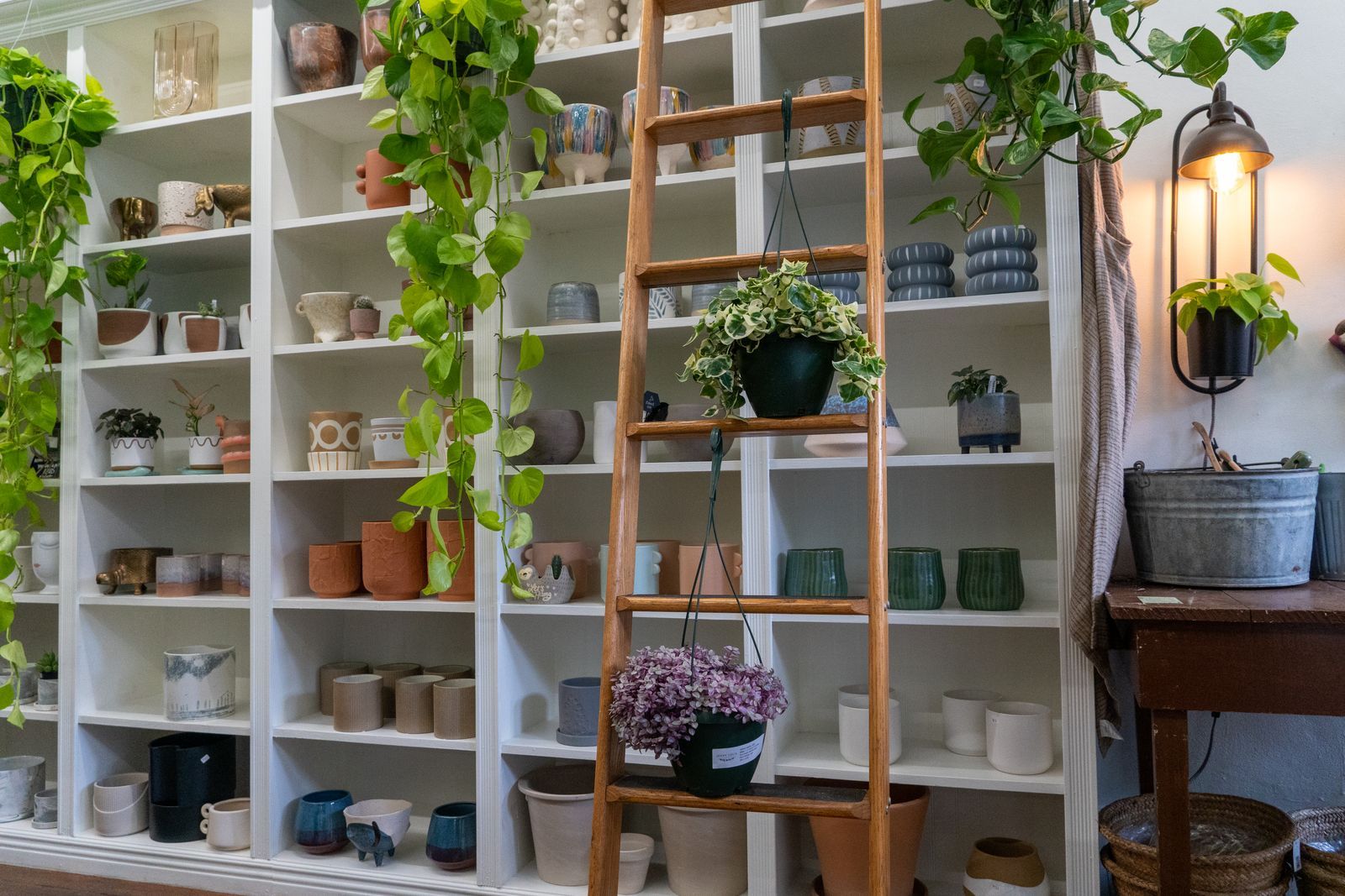 The Morrow & Moss shop floor in Frome, lined with shelves of ceramics and homeware